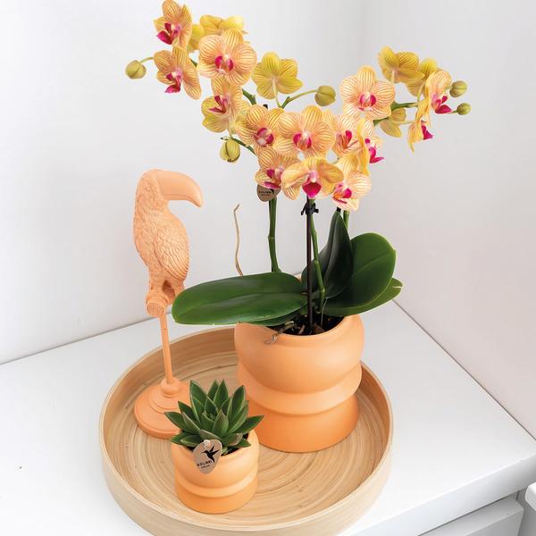 Kolibri Home | Ornament - Decoratie beeld Toucan - Peach  BotanicBridge