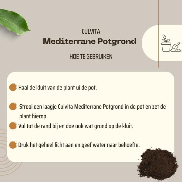 Culvita - Mediterrane Potgrond 40 Liter inclusief RhizoPlus - potgrond mediterrane planten o.a. geschikt voor olijfbomen, citrus en palmen  BotanicBridge