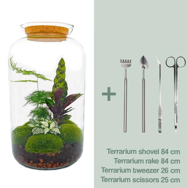 DIY terrarium - Botanical Sven XL - ↕ 43 cm - Rake + Shovel + Tweezer + Scissors  BotanicBridge