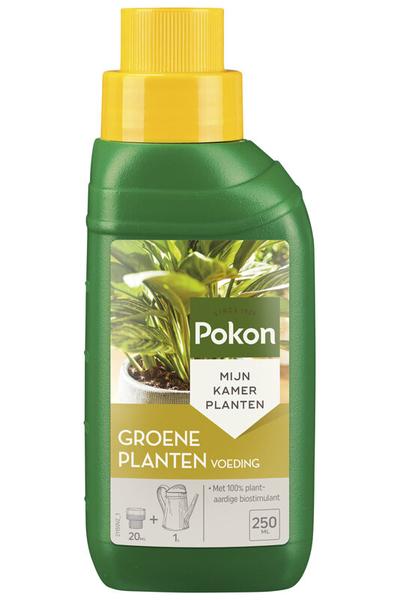 Pokon Groene Plantenvoeding 250 ml  BotanicBridge