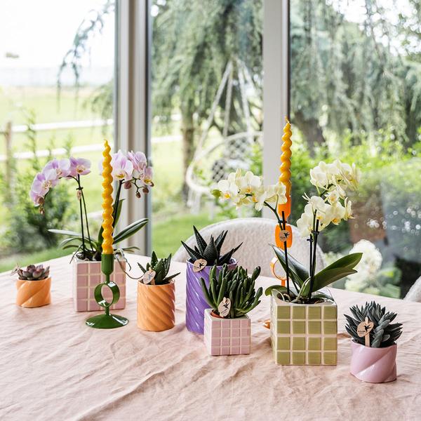 Kolibri Home | Candy sierpot | Hoog - Peach - Ø6cm  BotanicBridge