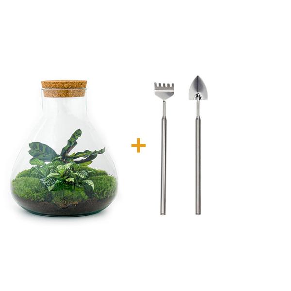 DIY terrarium - Sammie - ↕ 27 cm - Rake + Shovel  BotanicBridge