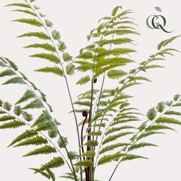 Kunstplant - Rumohra Adiantiformis - Ledervaren - 150 cm  BotanicBridge