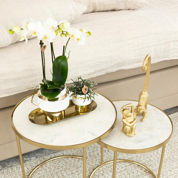 Kolibri Home | Ornament - Decoratie beeld Sitting Monkey - Gold  BotanicBridge