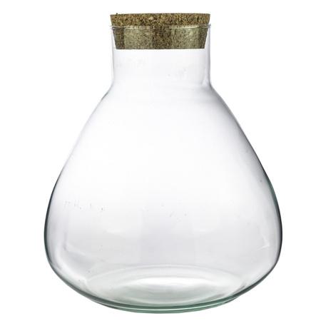 Terrarium bottle  - Model: Sammie -  Closed terrarium ↑ 26,5 cm  BotanicBridge